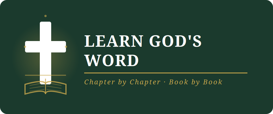 Learn God's Word — Chapter by Chapter, Book by Book